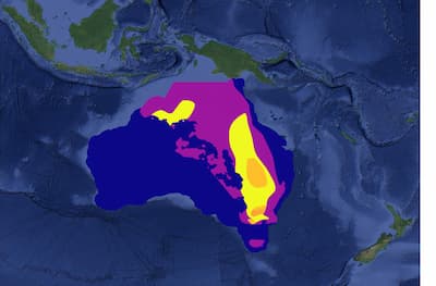 Map screenshot of Australia with thunderstorm forecast overlaid on it - one
of two